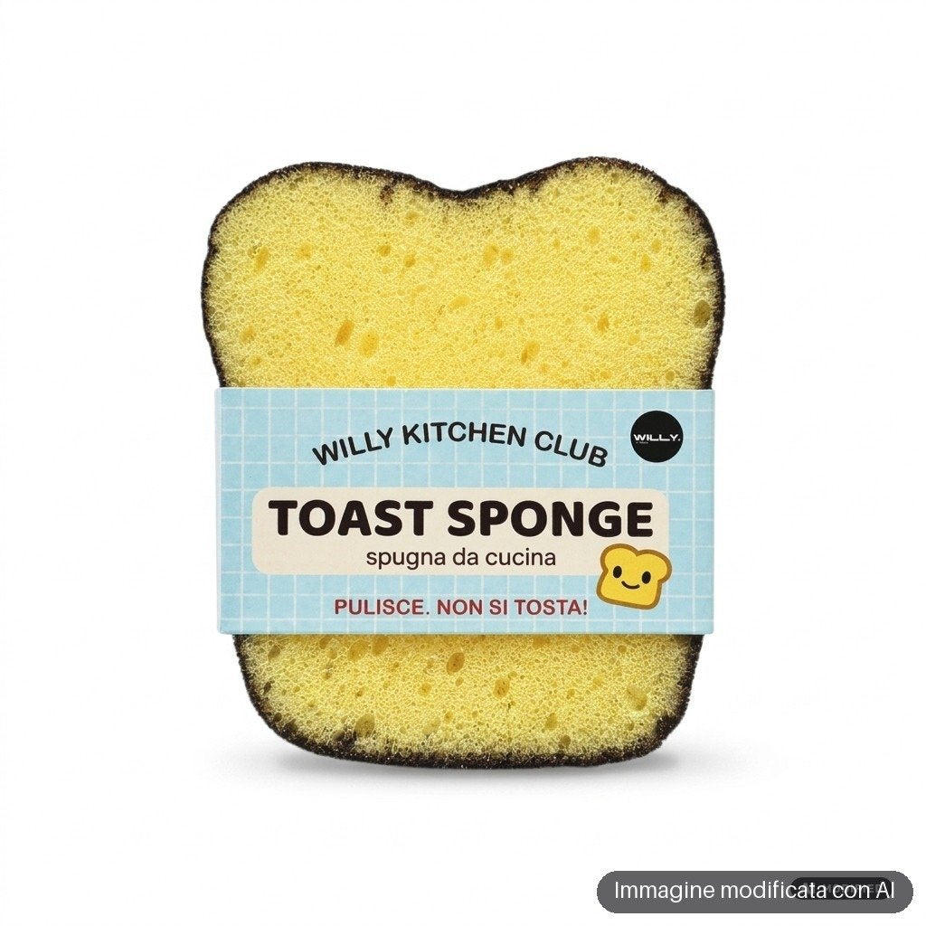 SET 2 SPUGNETTE CUCINA TOAST