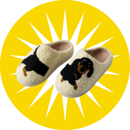 Smart Wear - Willy Be Smart