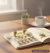 SET 10 MOLLETTE LEGNO AVOCADO