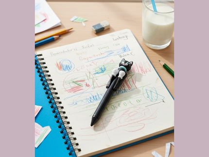 PENNA BOXE GATTO NERO