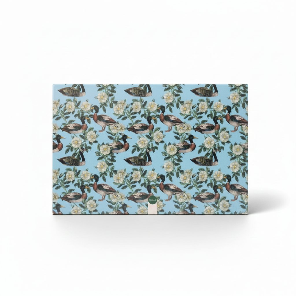 TOVAGLIETTA AMERICANA DUCK