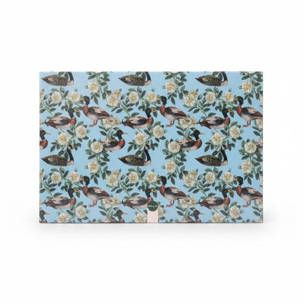 TOVAGLIETTA AMERICANA DUCK