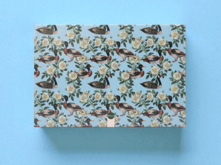 TOVAGLIETTA AMERICANA DUCK