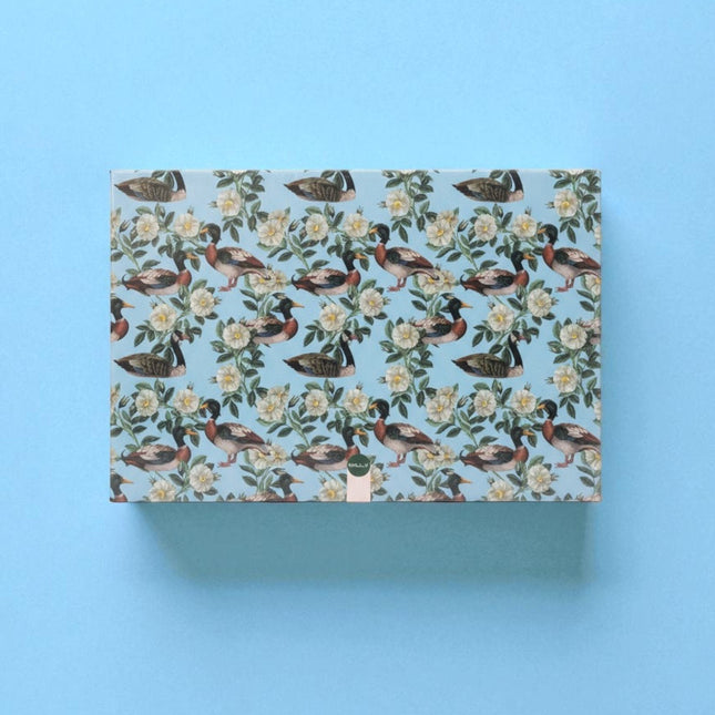 TOVAGLIETTA AMERICANA DUCK