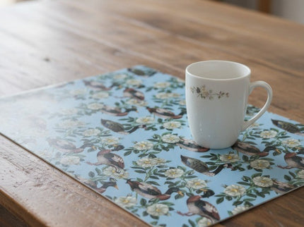 TOVAGLIETTA AMERICANA DUCK