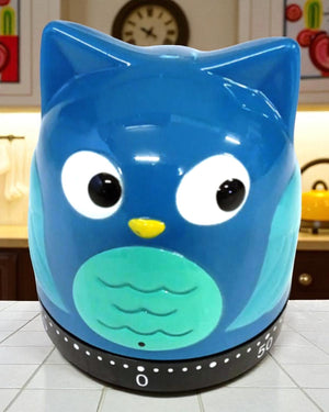 TIMER OWL 60MIN