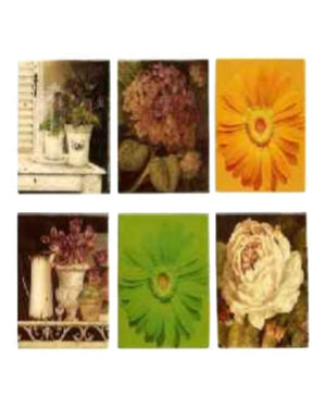 MAGNETI FLOWER ASS. CM.5,5X8