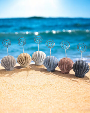 SEGNAPOSTO CONCHIGLIA SEA
