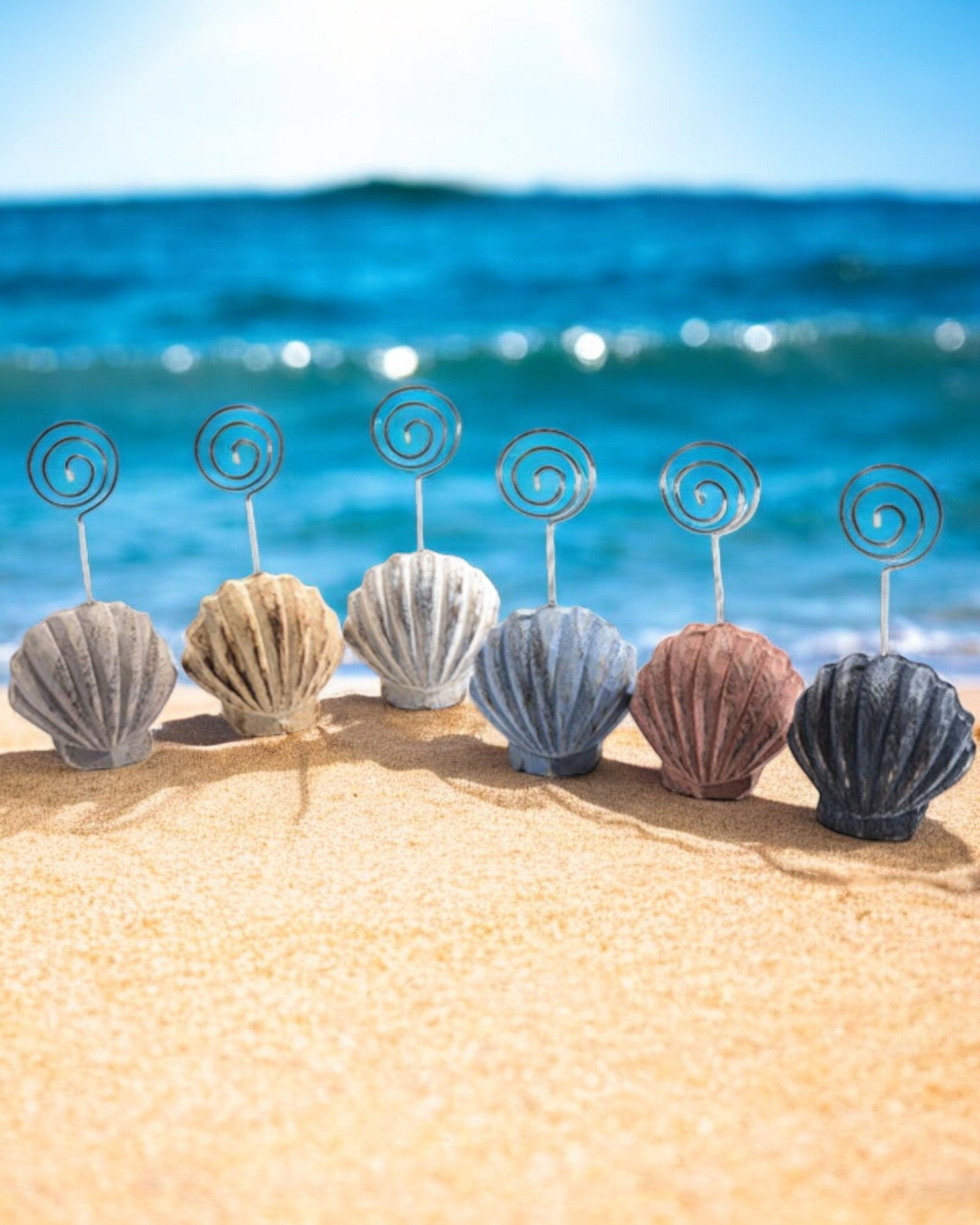 SEGNAPOSTO CONCHIGLIA SEA