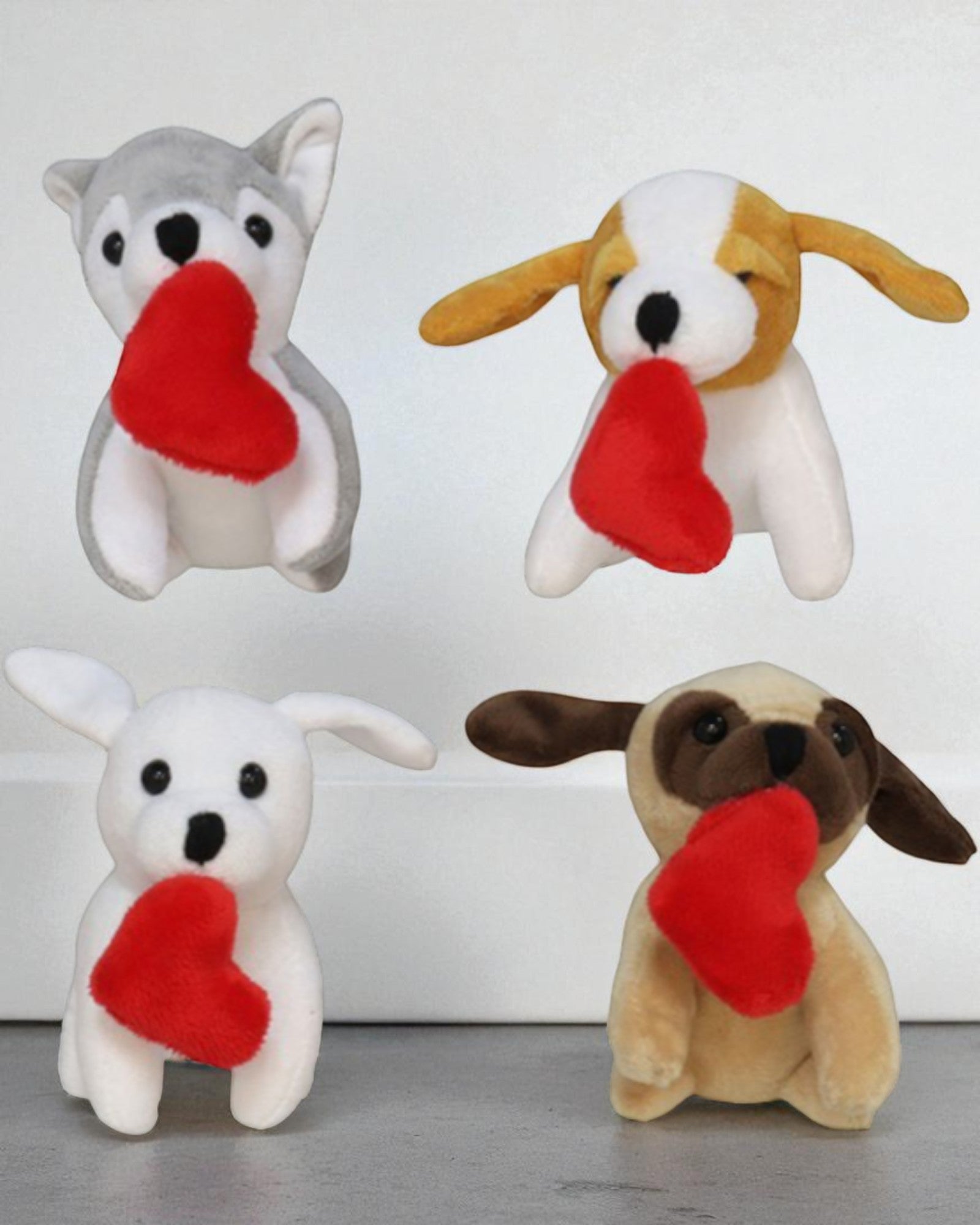 CANE PELUCHE SAN VALENTINO