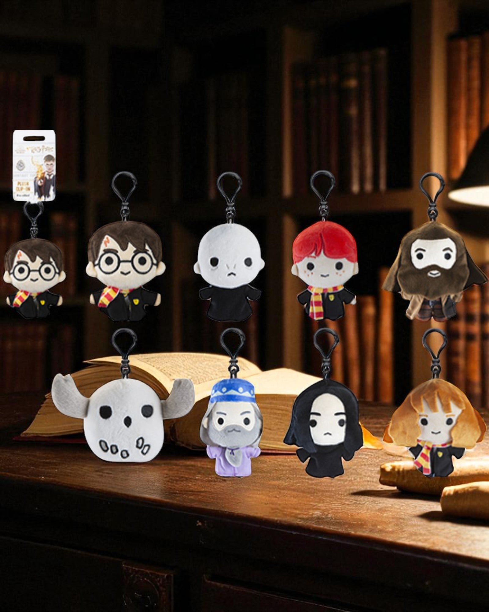 PORTACHIAVI HARRY POTTER