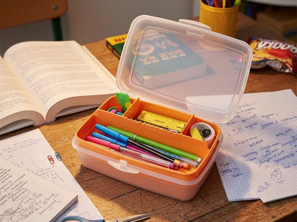 CONTENITORE ORGANIZER