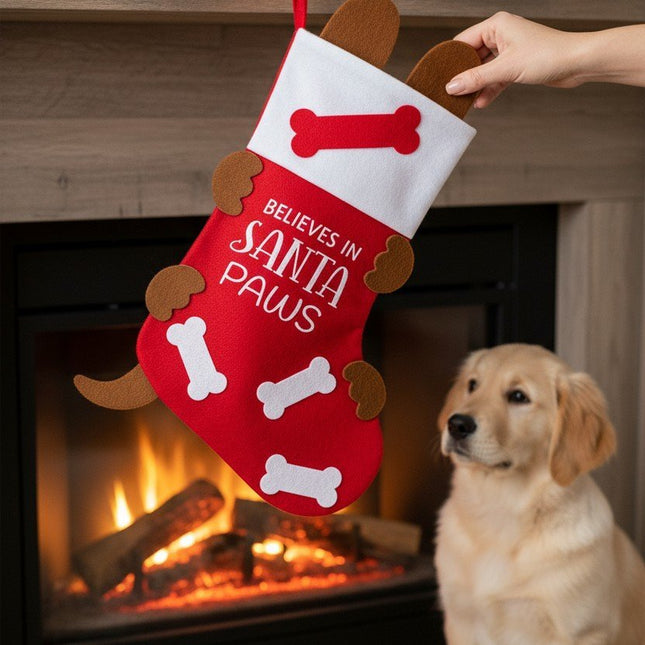 CALZA BEFANA PETS XMAS - Willy Be Smart