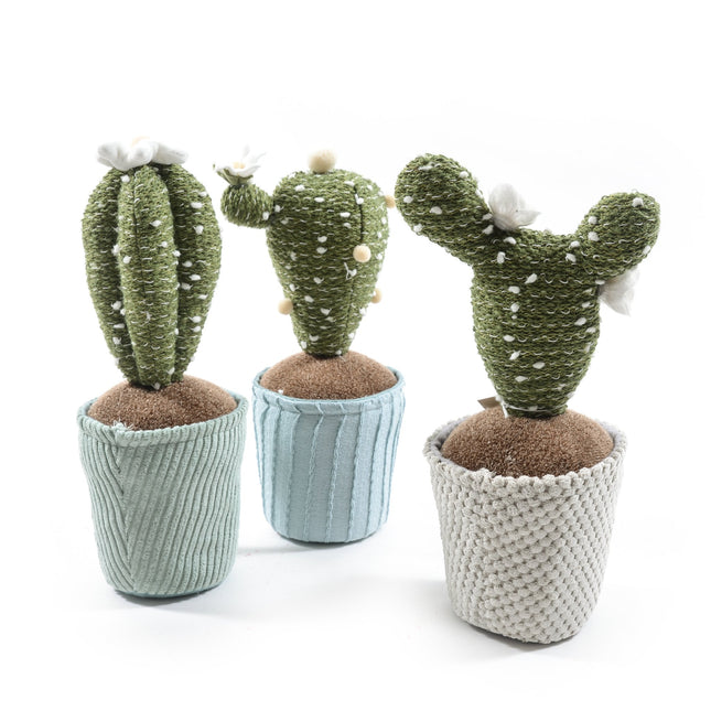 FERMAPORTA CACTUS - Willy Be Smart