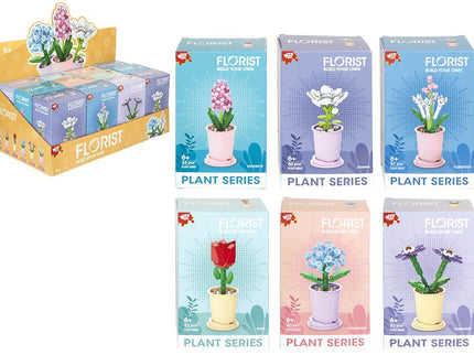 MATTONCINI PIANTE - Willy Be Smart