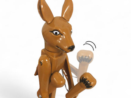 PENNA BOXE CANGURO - Willy Be Smart