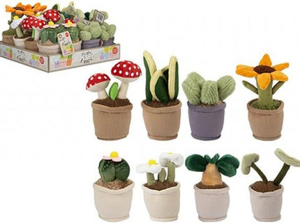 PIANTA PELUCHE - Willy Be Smart