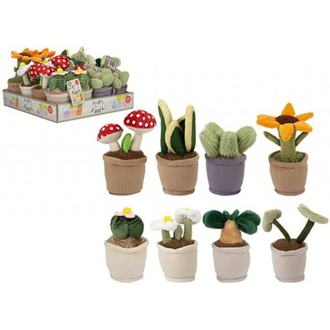 PIANTA PELUCHE - Willy Be Smart