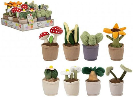 PIANTA PELUCHE - Willy Be Smart