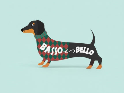 SPILLA BASSOTTO - Willy Be Smart