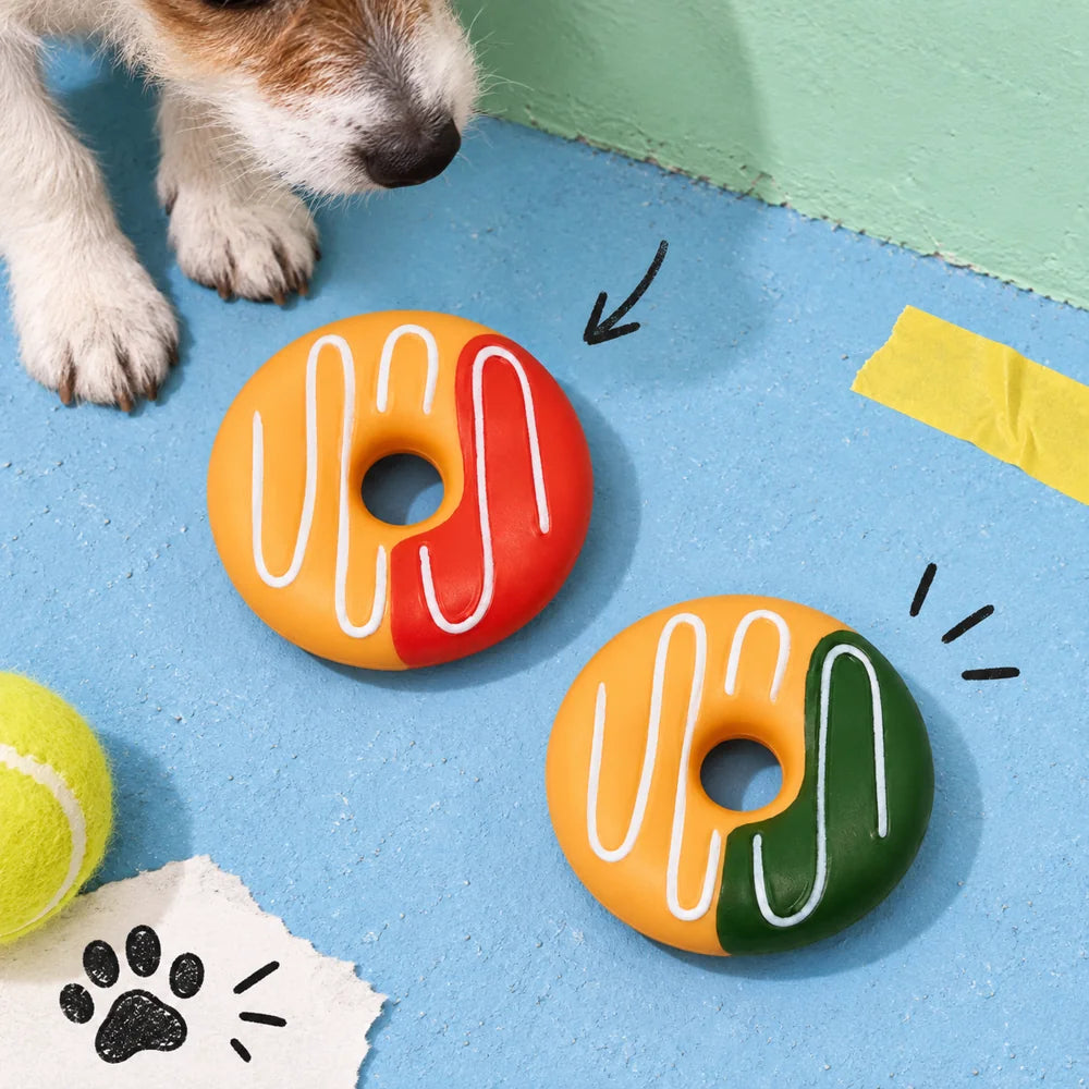 Willy Be Smart — pet-lovers in ambientazione street